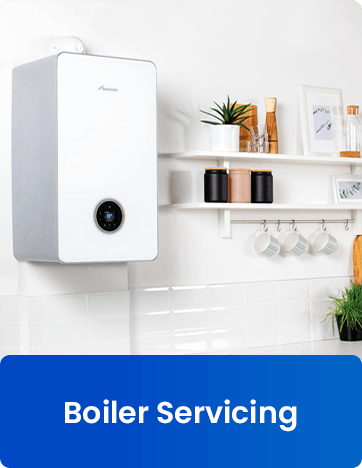 Boiler Servicing